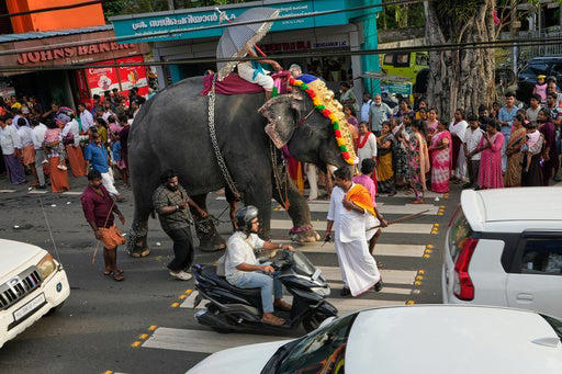 A decorated elephant passes through a busy street during an elephant pageant in Kerala, May 2026 (AP)