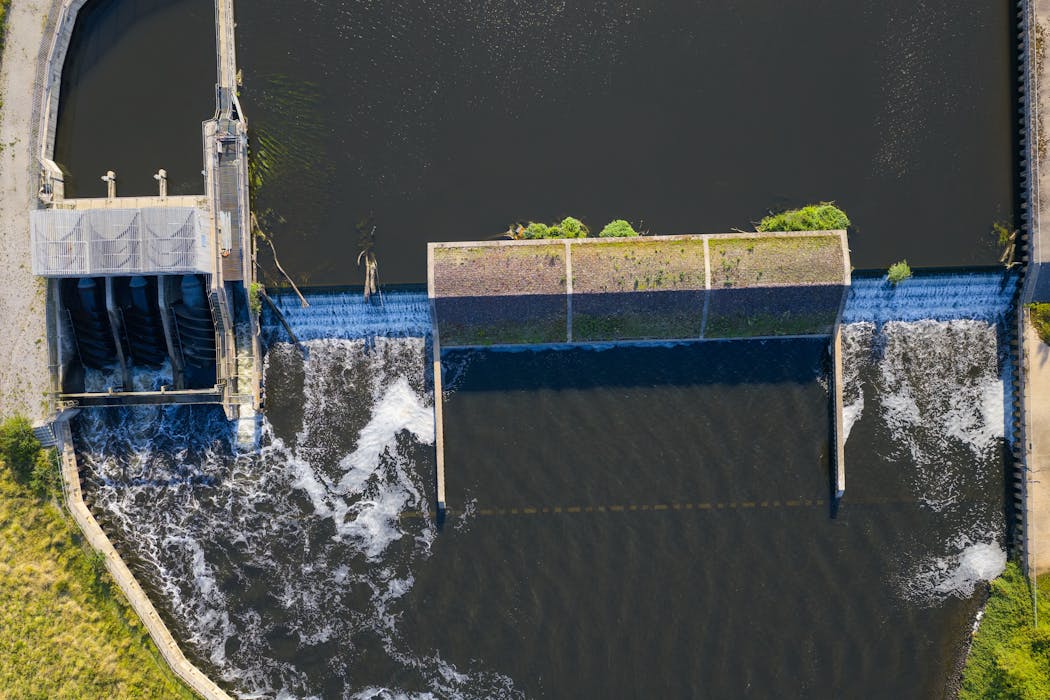 River wildlife moves freely once dams are removed – but so too can ...