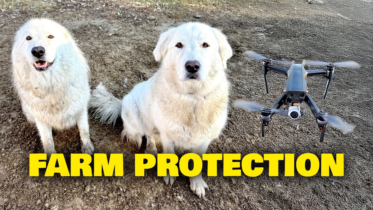 Deploy high-tech drones to shield your herd from deadly predators
