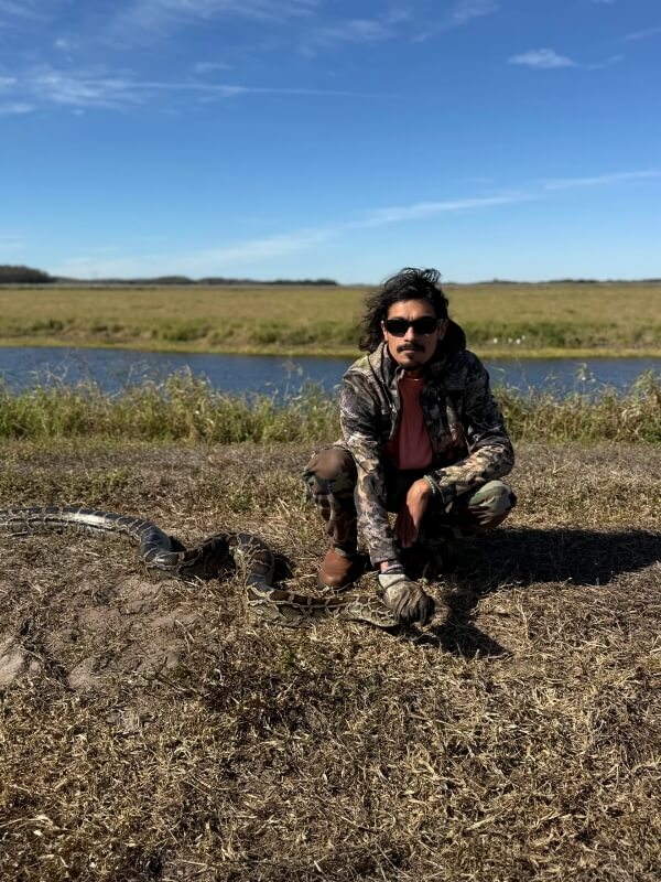 Florida contractor snags 10-foot Burmese python driven from the brush ...
