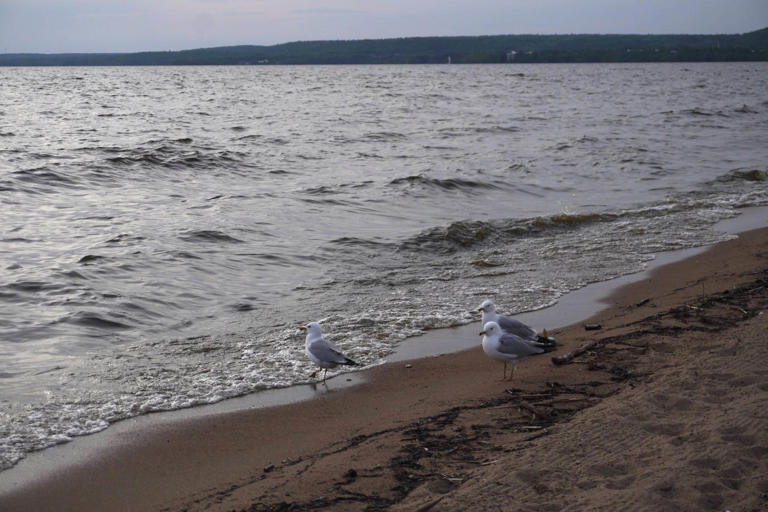 Swim at your own risk: some northern Ontario health units have stopped ...