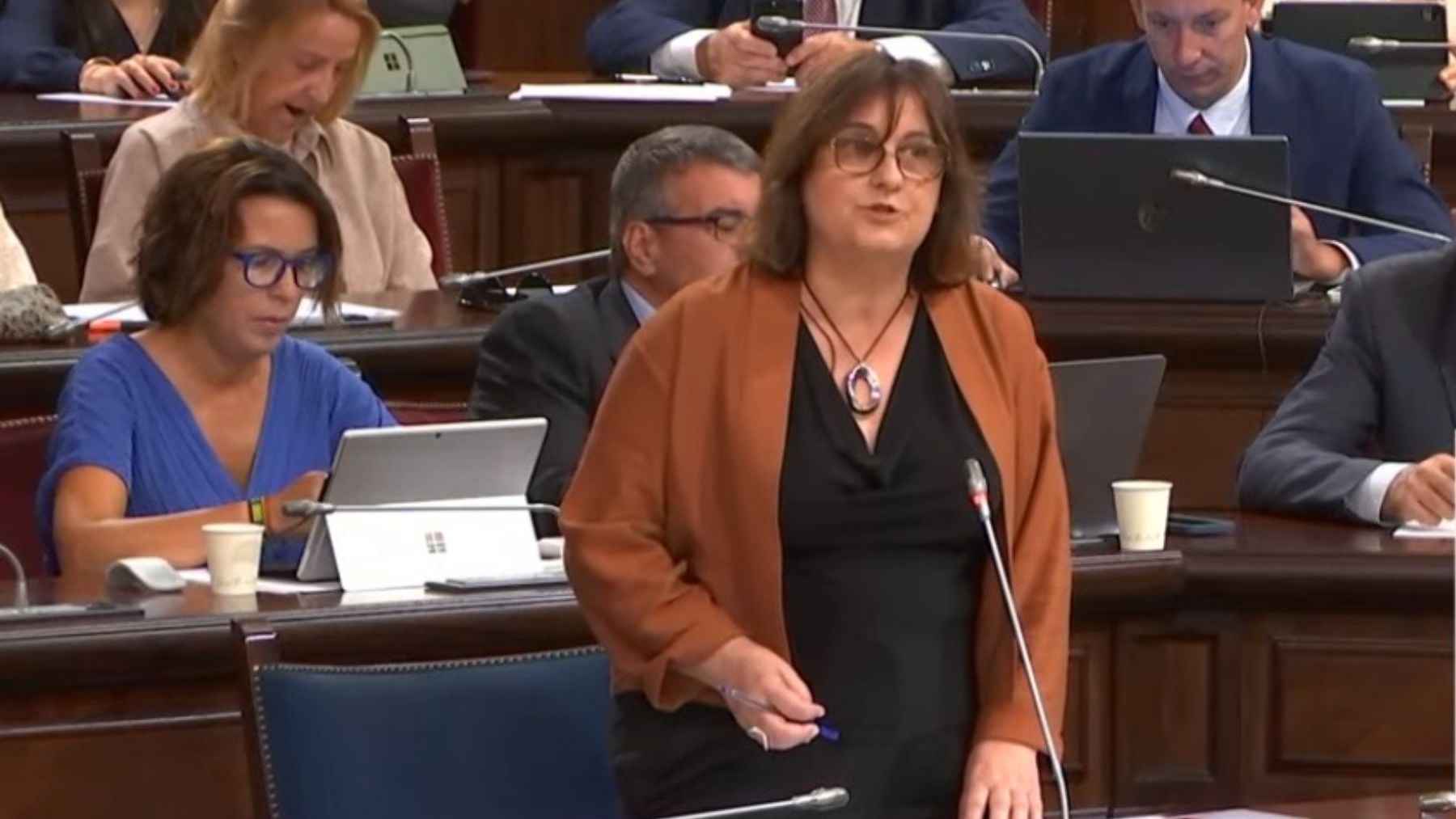 PP y Vox defienden la legalidad de la derogación de la Ley balear de ...
