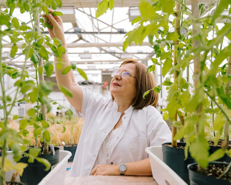 Raquel Lía Chan, ganadora del premio Por las Mujeres en la Ciencia de L ...