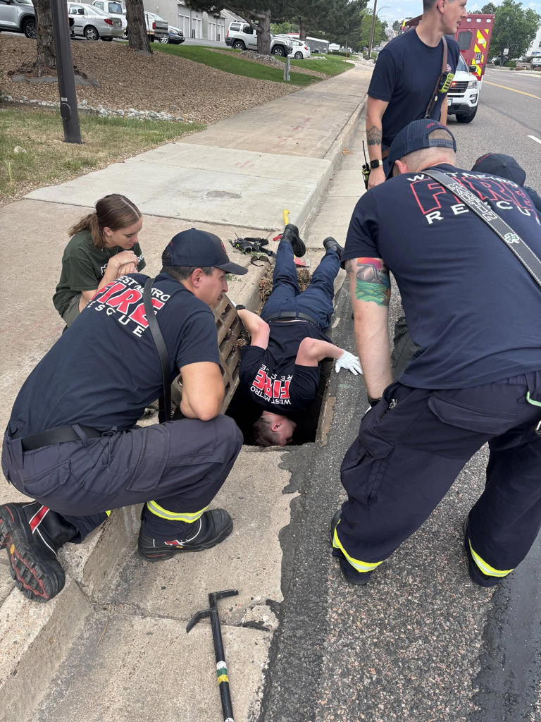 Firefighters rescue six ducklings stuck in storm drain in Lakewood