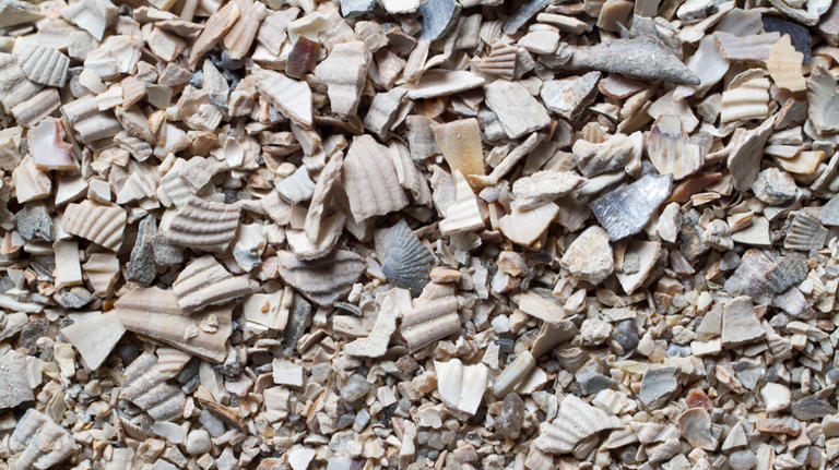 Not brick, not pavers: The driveway edging that'll add a coastal vibe ...