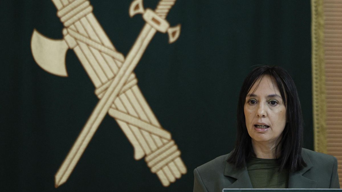 La directora de la Guardia Civil explicará sus reuniones con Leire el ...