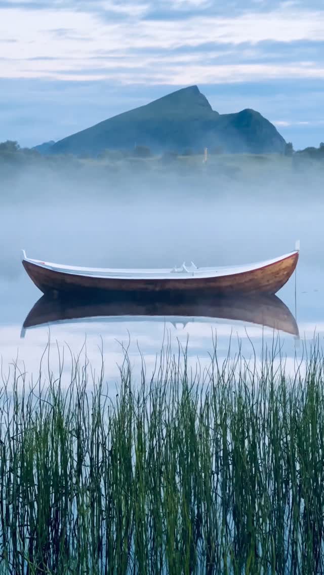 A quiet place where silence feels alive