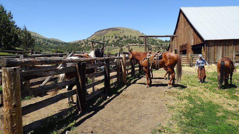 Trade your daily grind for an authentic cowboy adventure at this Oregon ...