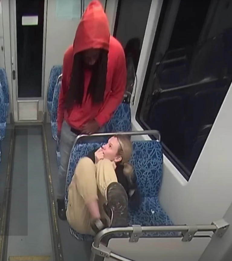 Madman accused of slaughtering Iryna Zarutska on Charlotte train raves ...