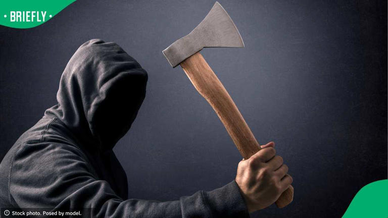 Video of axe attack on Delft police constable goes viral as South ...