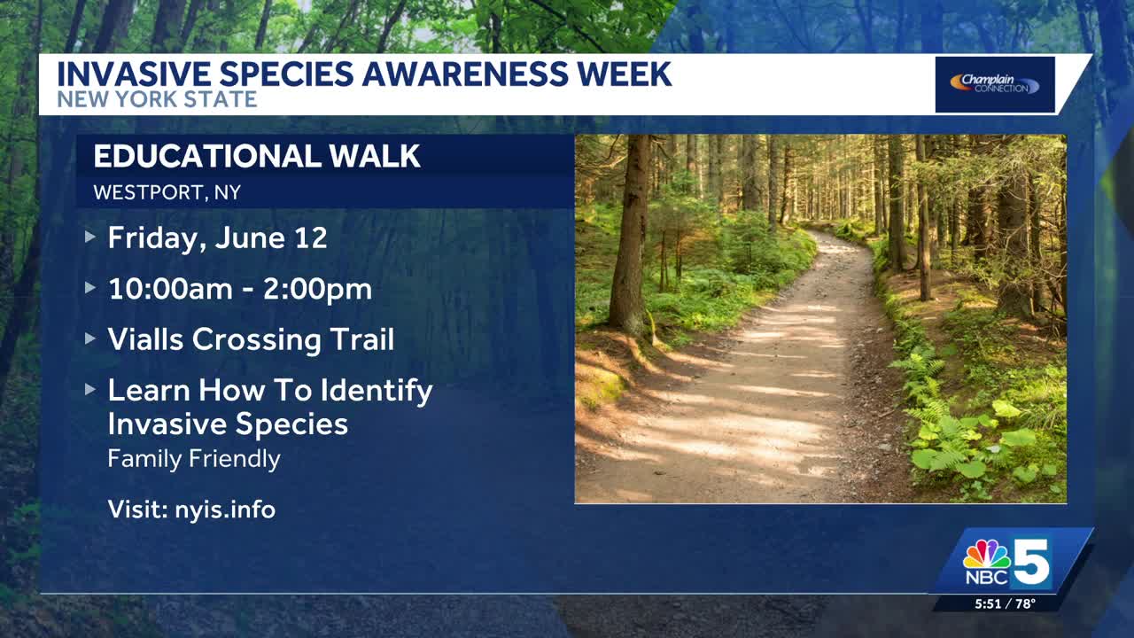 New York’s invasive species awareness week features events statewide