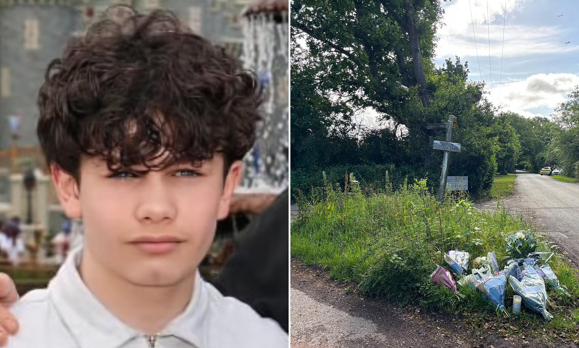Murder probe as boy, 12, is killed after he was hit by vehicle in Essex as  teenager and man arrested