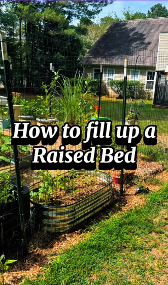 Creating the perfect soil mix for raised beds