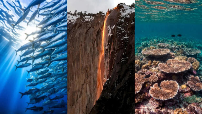 6 rare natural events that happen once a year and will leave you amazed