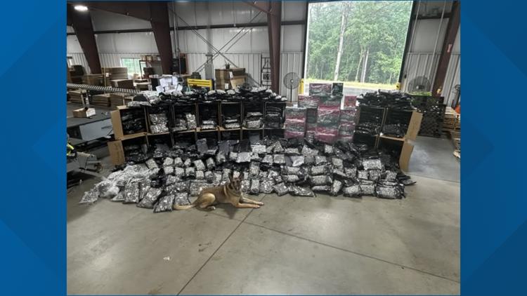 K-9 trooper helps seize almost 2,000 pounds of weed on Georgia interstate