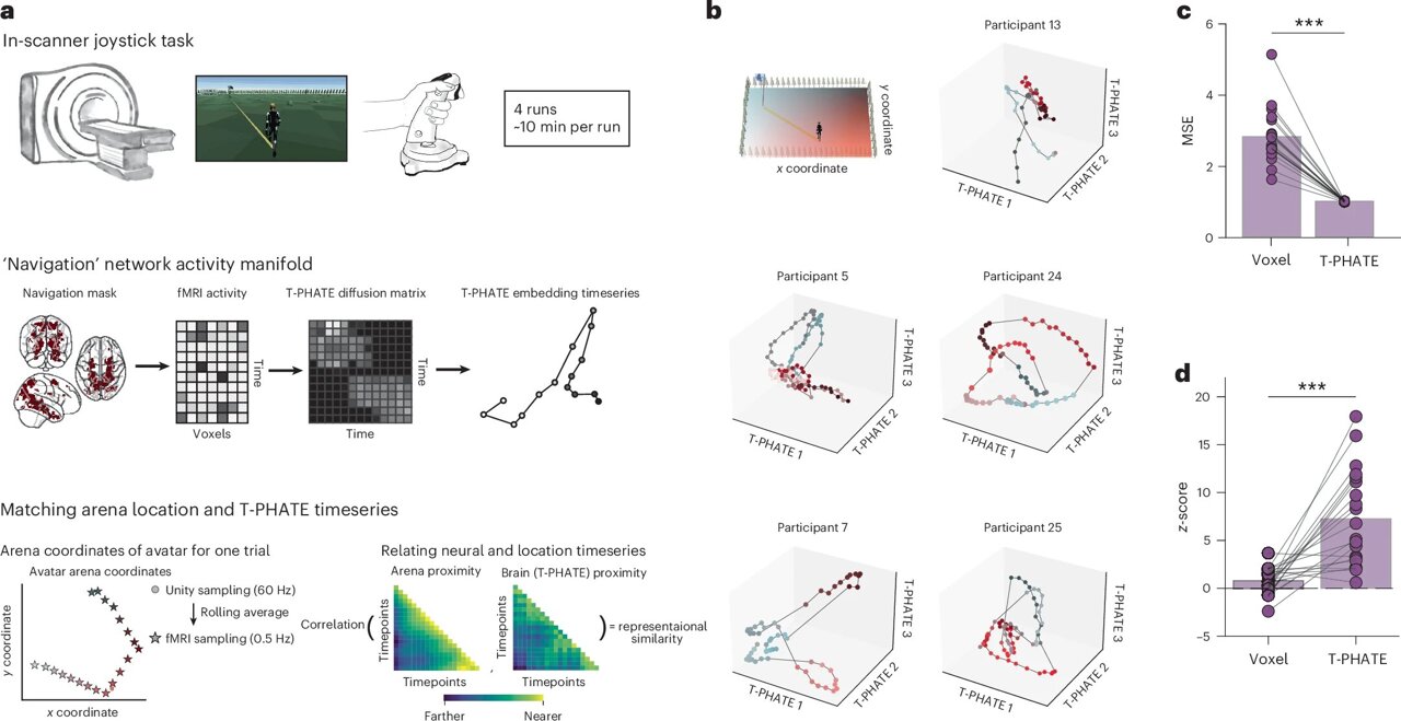 A brain-computer interface that works with—not against—the brain