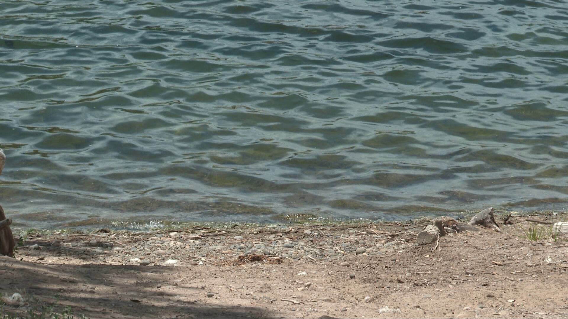 Summer water safety: How to avoid gastrointestinal illnesses at lakes ...