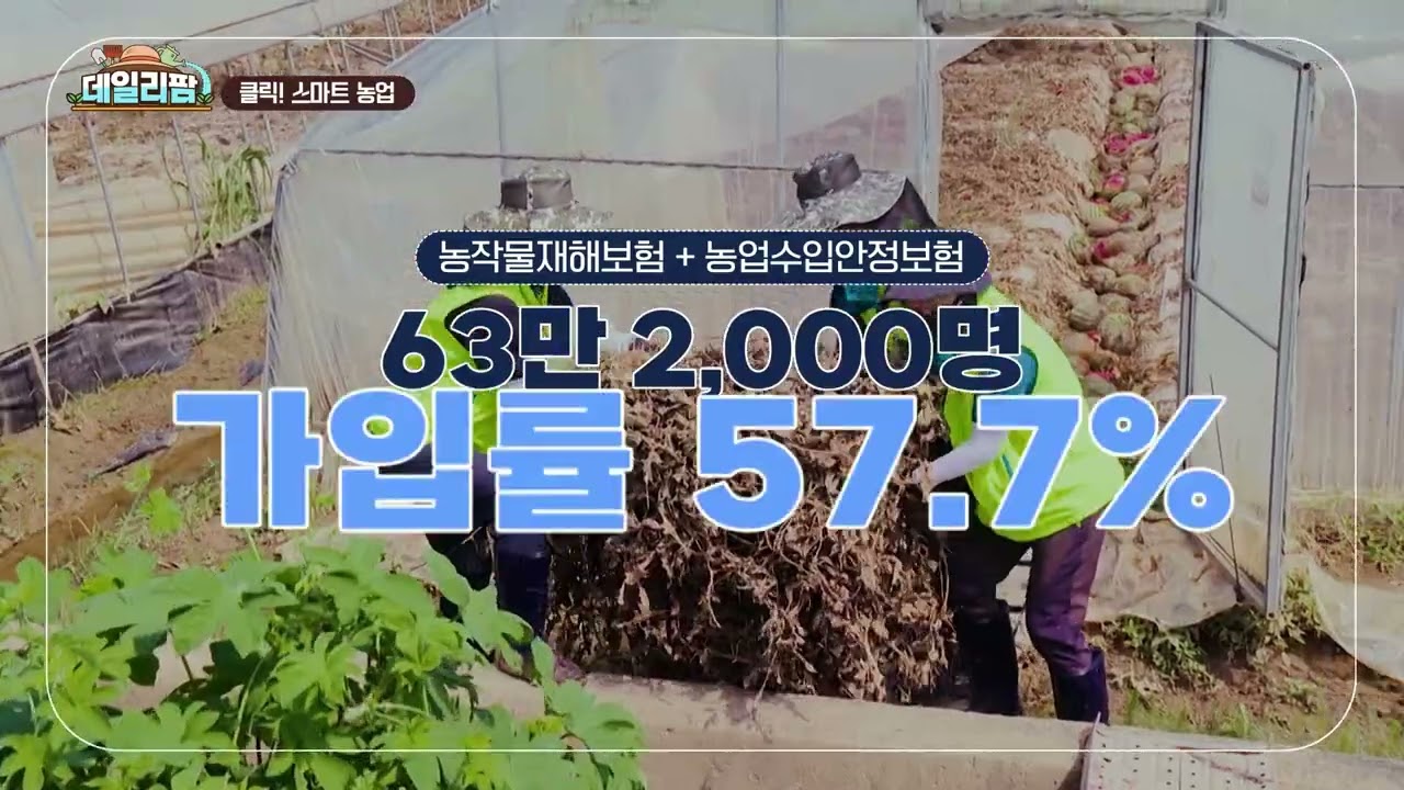 데일리팜, 클릭! 스마트 농업 이상기후 속 농가의 든든한 버팀목! '농작물 재해보험'의 모든 것