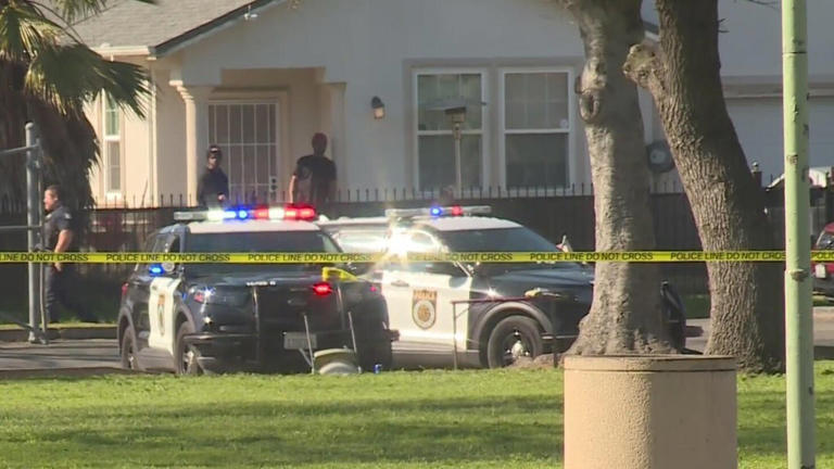 Second teen arrested in deadly shooting near Sacramento's Hagginwood Park