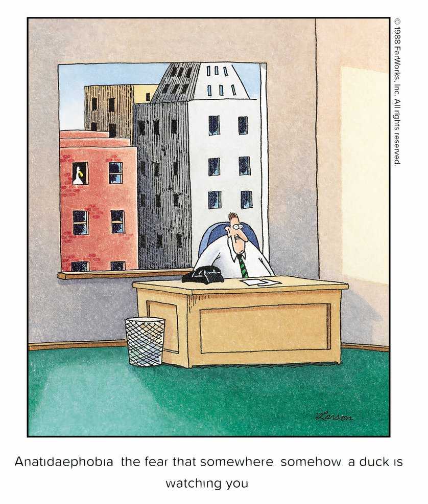 A man looks nervous as a duck watches him from another building. The man has anatidaephobia.