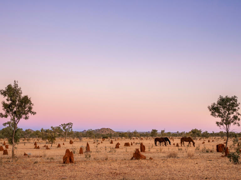 This new outback road trip reveals a secret side of Queensland