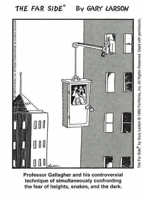 A Professor Gallagher uses a controversial technique to get over his many fears.