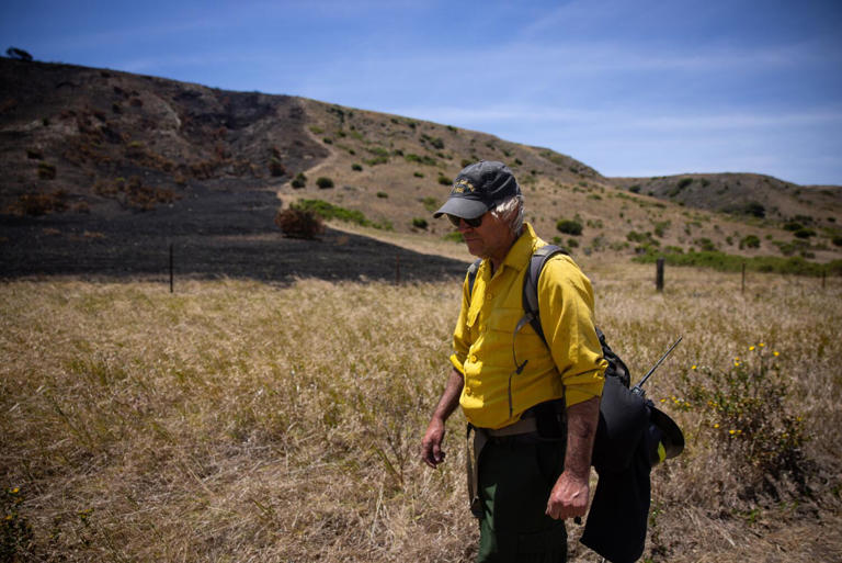 Wildfire almost destroyed a pristine California island. Inside the ...