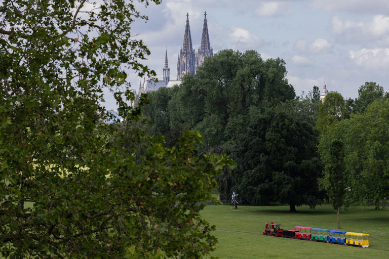 Regnerisches Wetter in NRW erwartet