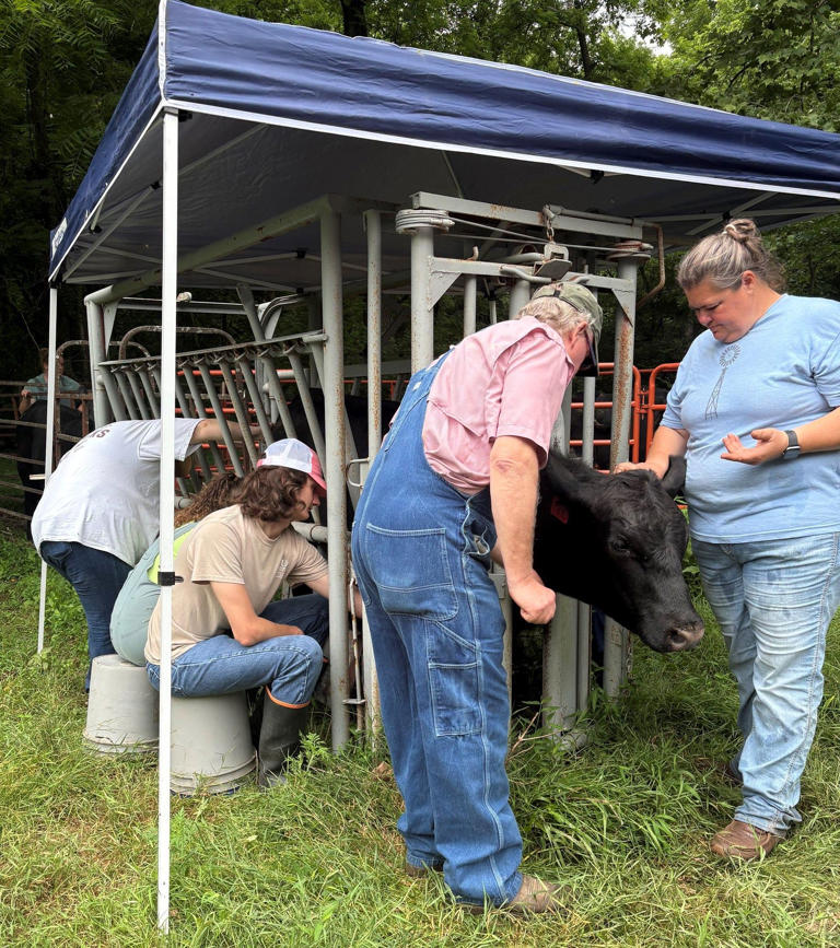 Arkansas lands grant to battle deadly cattle tick disease