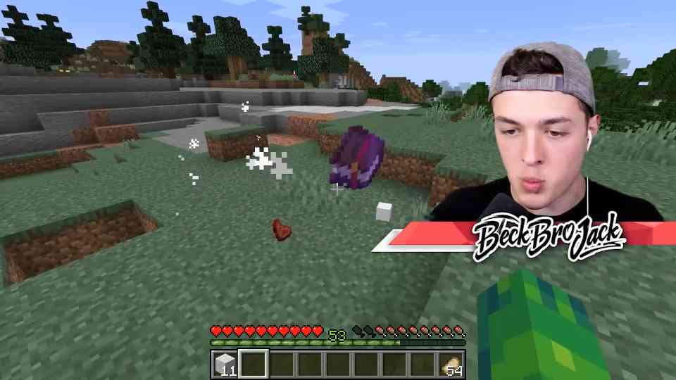 We turned random items into overpowered pets in Minecraft
