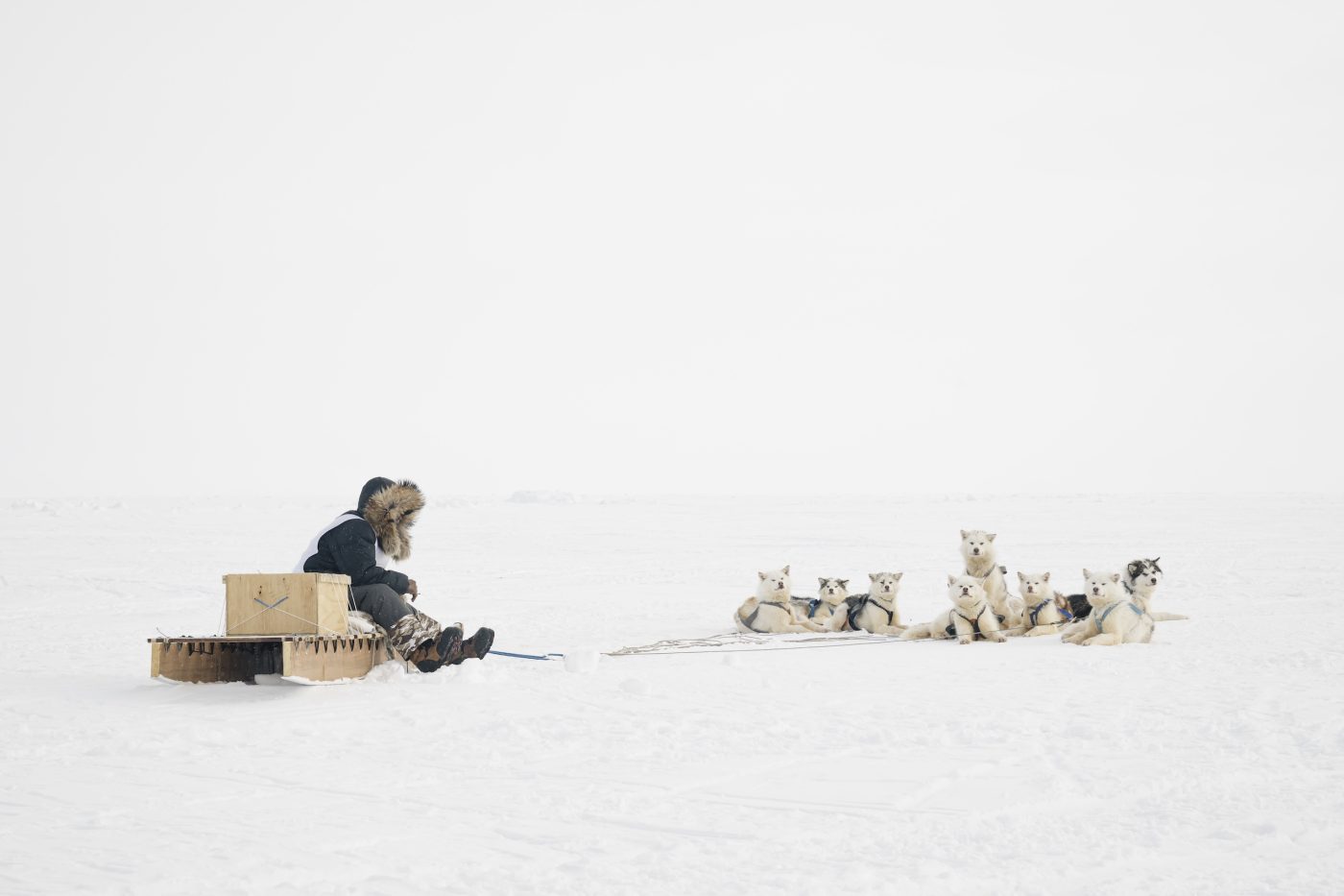 On the trail of this year’s epic Nunavut Quest dogsled race