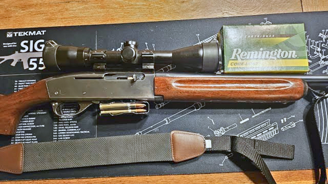 20 forgotten rifles that deserve a second look