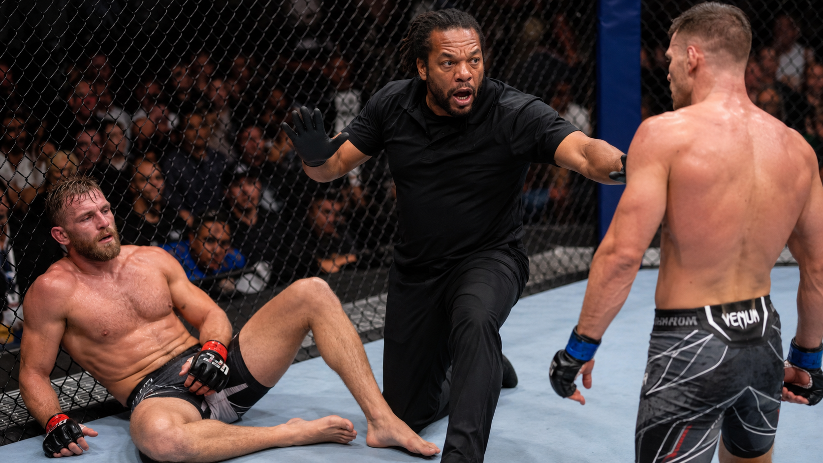 UFC refs who blew their big chance and got removed