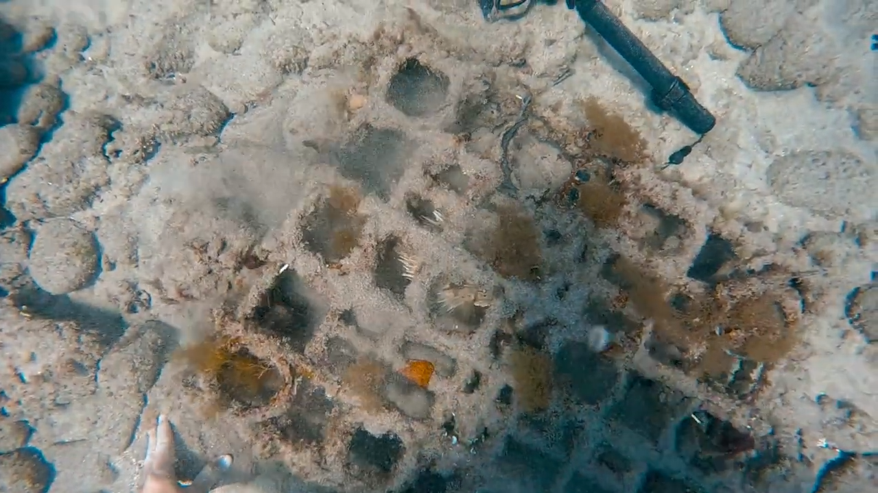 Out of hundreds of objects on the ocean floor, this was the most disturbing