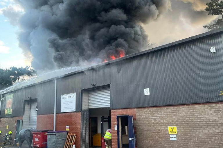 Fire at children's mini zoo sees all animals inside perish