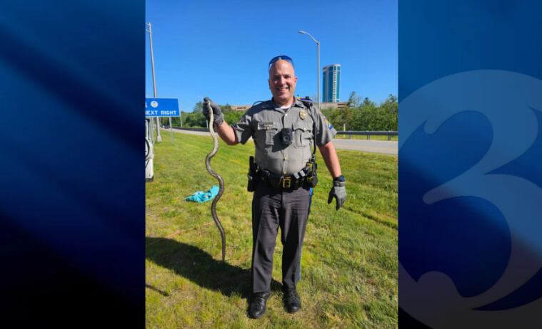 State police trooper comes to rescue after woman discovers snake in car ...