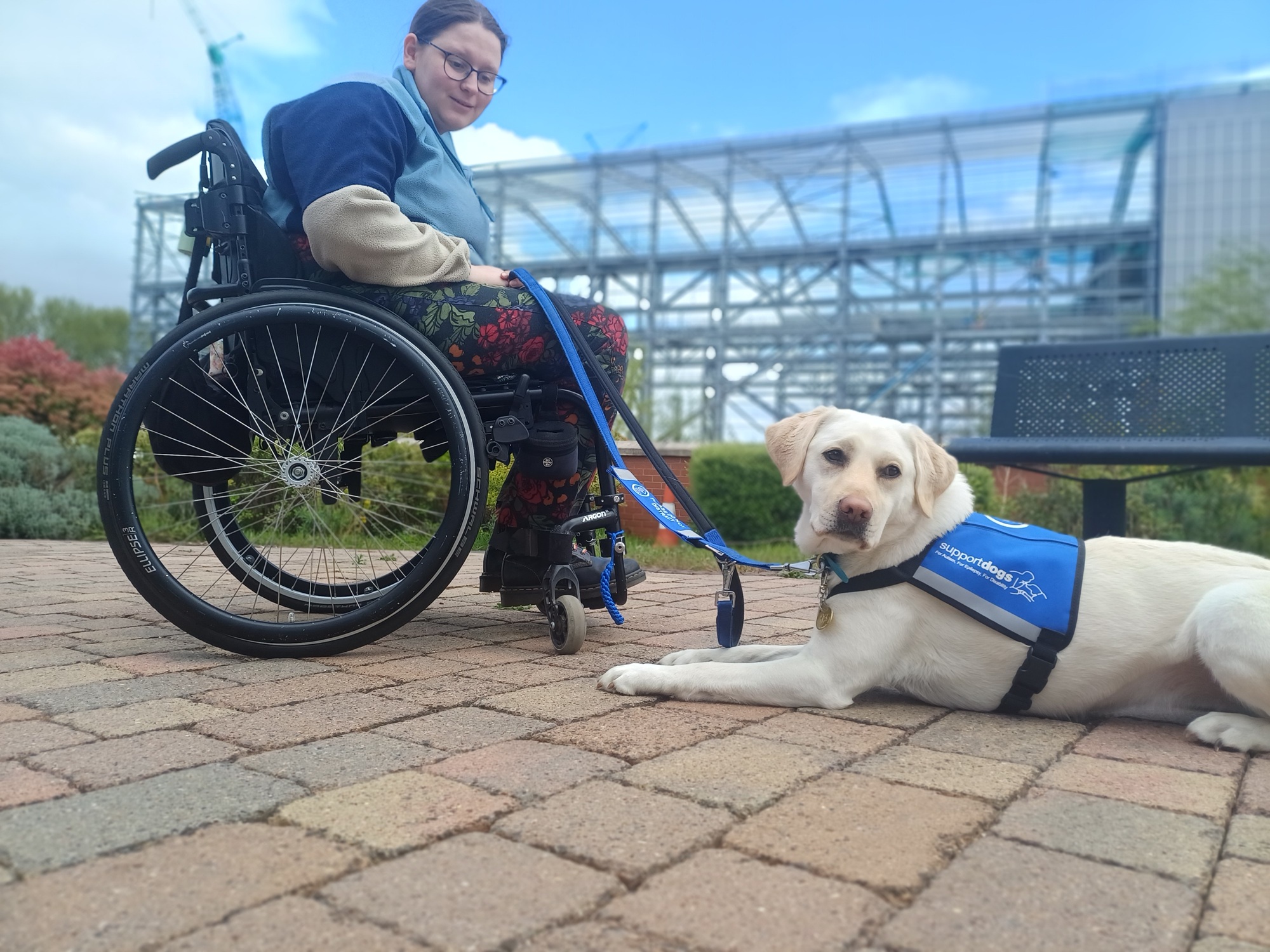 First Crufts and now Support Dogs success for Megan and Lyra