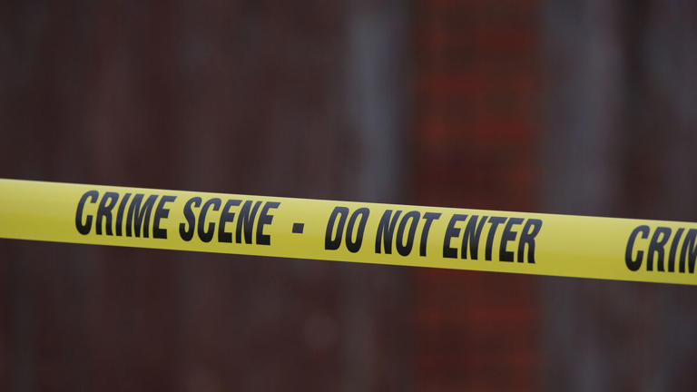 Multiple attackers kill 12 people in mass shooting in Johannesburg