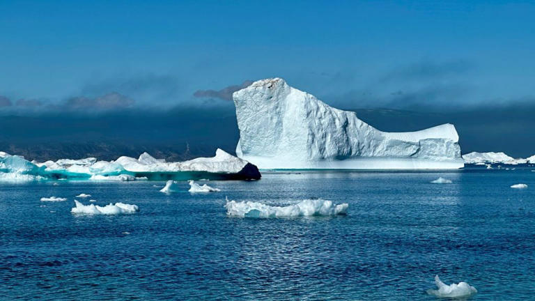 Icebergs putting oceans at risk by carrying debris: study