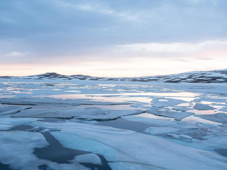 Icebergs putting oceans at risk by carrying debris: study