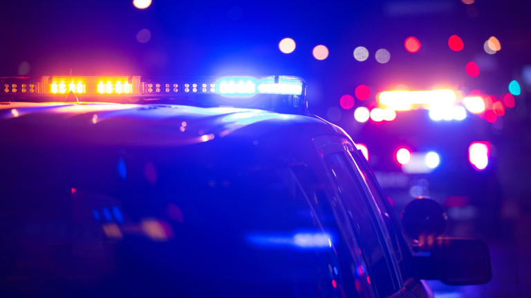 Deer falls from Garden State Parkway overpass, trapping driver inside car