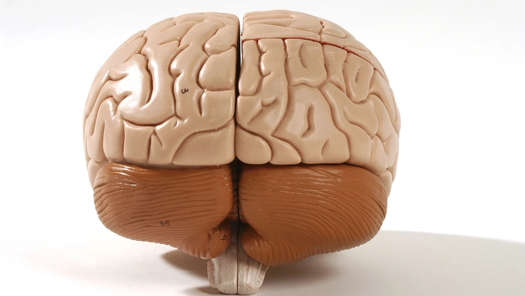 New research links biology, play, and parenting to child behavior