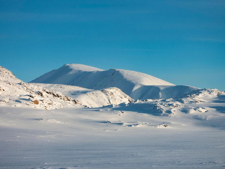Icebergs putting oceans at risk by carrying debris: study