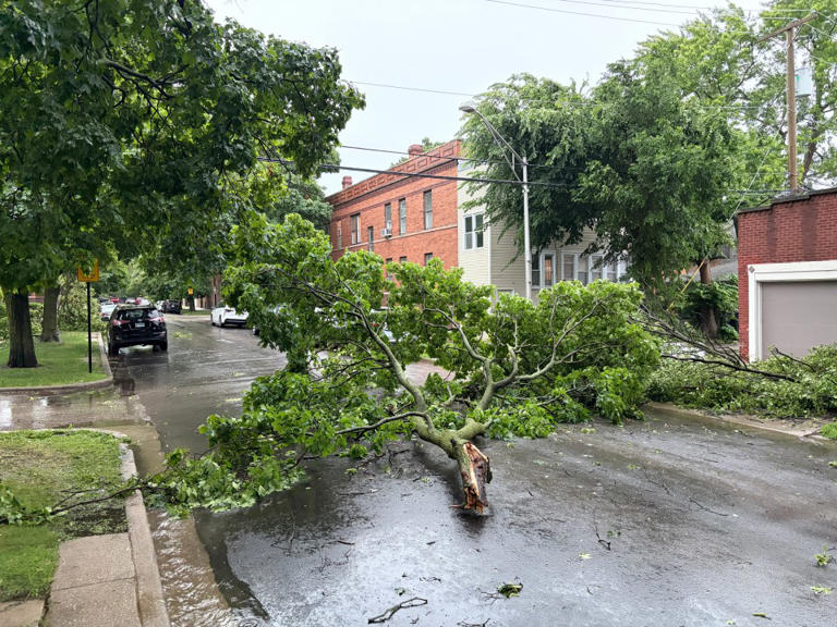 Photos: Severe weather hits Chicagoland, leaving trail of destruction