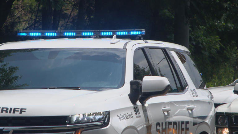Birmingham police: 2 in custody after stolen vehicle involved in pursuit