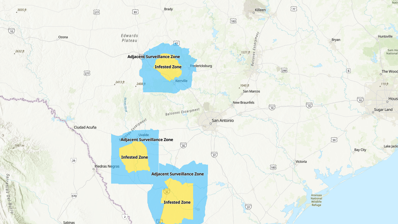 TRACK: Map shows where screwworm cases are in Texas