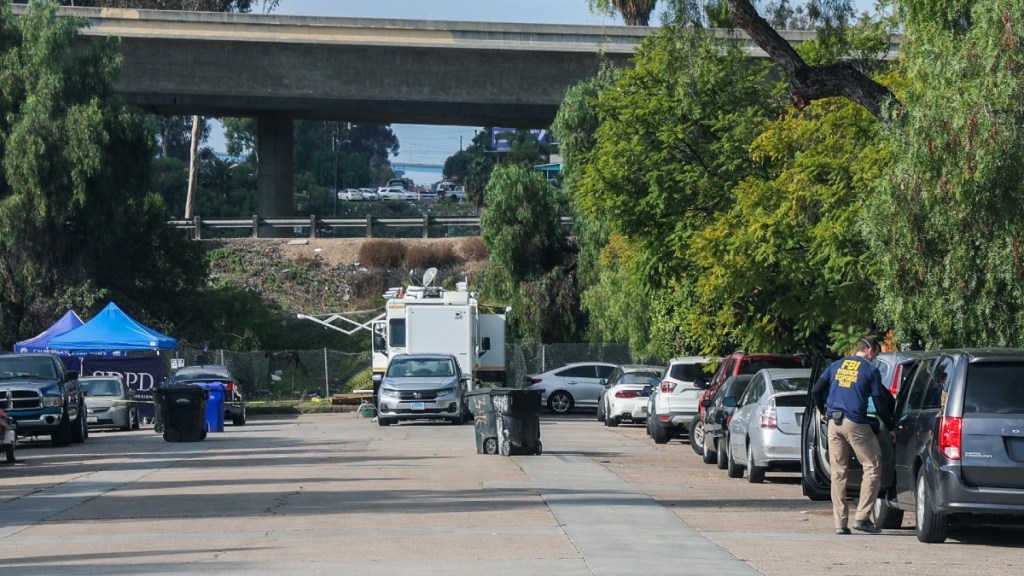 Serial killer in San Diego? Murder suspect pleads not guilty to 3 ...