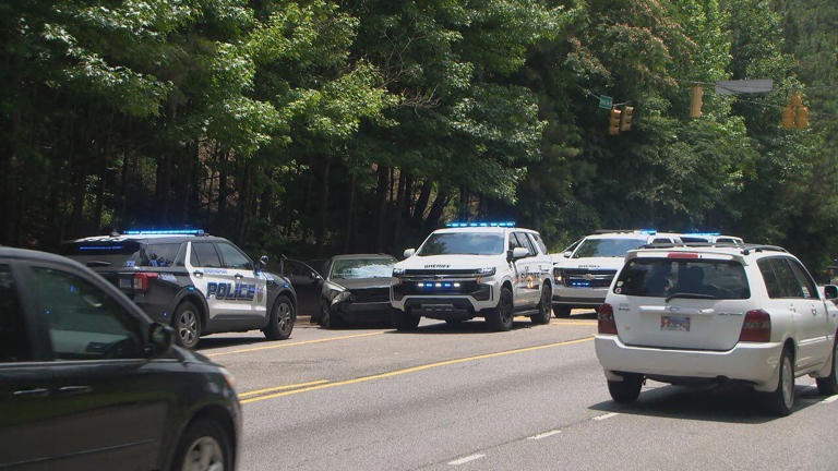 Birmingham police: 2 in custody after stolen vehicle involved in pursuit