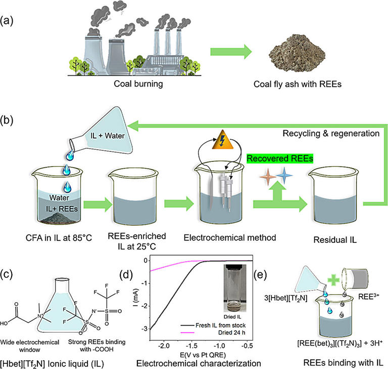 Rising from the ashes, a hidden supply of critical elements emerges