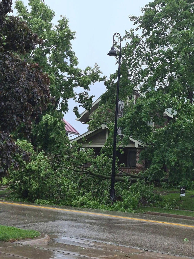 Photos: Downed trees, dark clouds during strong storms in southern ...